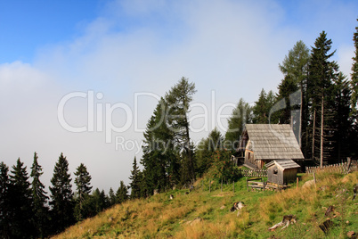 Auf der Alm