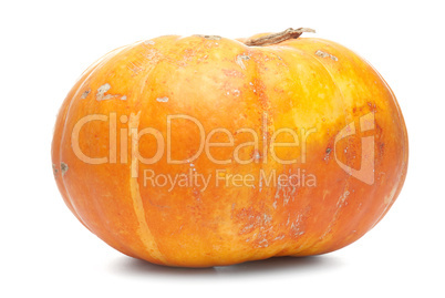 Orange pumpkin