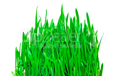 green grass