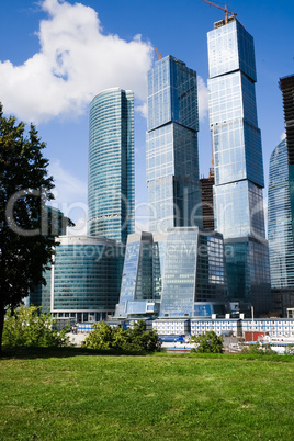 Skyscrapers and nature