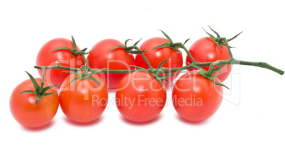 Tomatoes