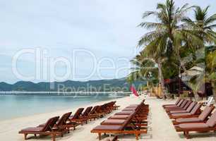 Beach with sunbeds and coconut palm trees, Samui island, Thailan