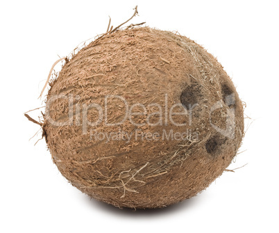 Coconut