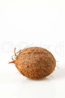 Kokosnuss