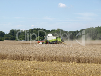 Harvest