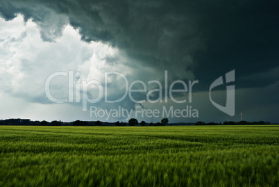 Sturmwolken über einem Feld