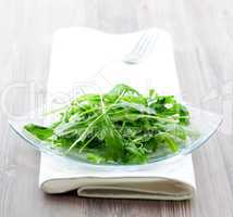 frischer Rucolasalat / fresh salad with arugula