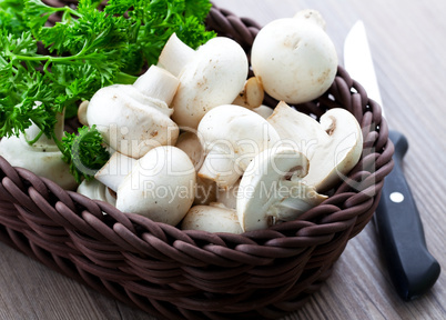 Champignons im Korb / mushroom in basket