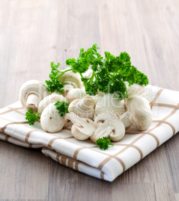 Champignons und Petersilie / mushroom and parsley