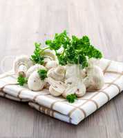 Champignons und Petersilie / mushroom and parsley