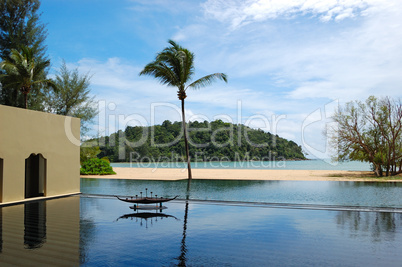 Palm tree at the beach and swimming pool, Phuket, Thailand