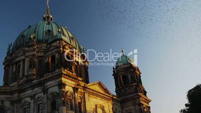 Berlin - Museumsinsel with Migratory Birds Starting