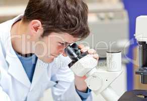 male scientist looking through a microscope