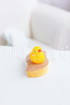 Close-up of a yellow plastic duck