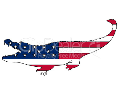 Amerkanischer Alligator