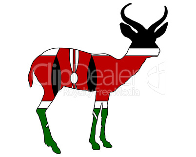 Kenia  Antilope