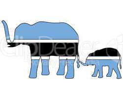 Botswana Elefanten