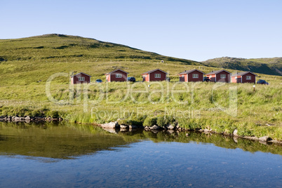 summer north norwegian landscape