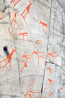 ancient rock carvings