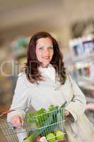Shopping series - Brown hair woman with basket