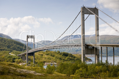 cable-braced bridge