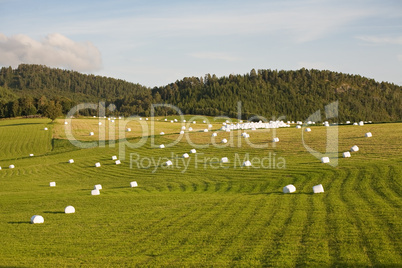 hay packed into packages