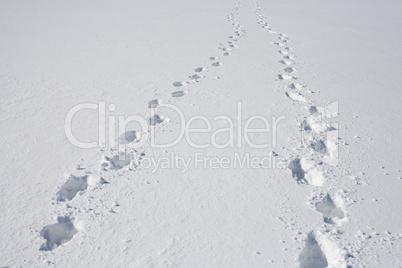 footprints on snow