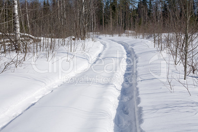 winter forest road