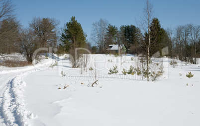 winter rural landscape