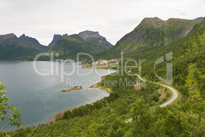 summer norwegian landscape