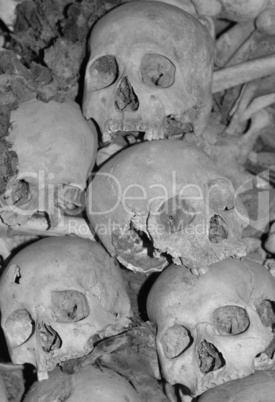 human skuls in cambodia