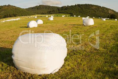 rolls of hay