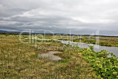 Iceland moor landscape