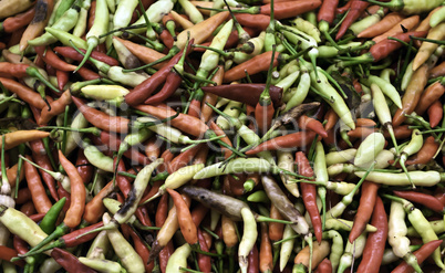 Colored Chili peppers