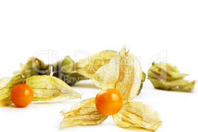 eine physalis vor vielen