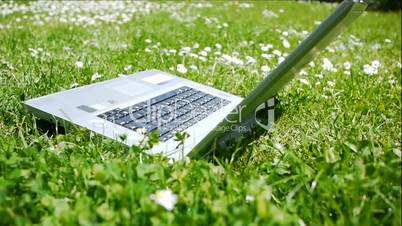 Notebook on a Meadow