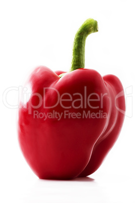 ein roter paprika ein roter paprika
