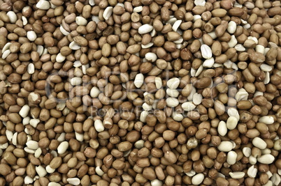 Groundnuts