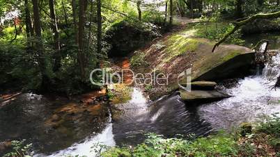 Fluss im Wald mit kleinem Wasserfall