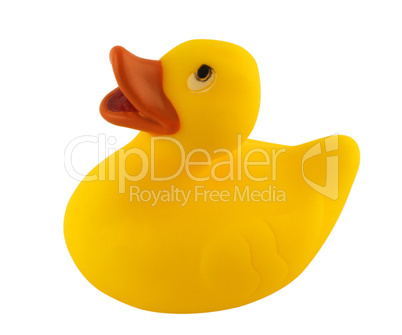 Toy Duck