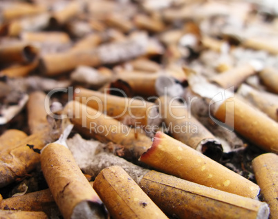 Cemetery of cigarettes