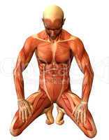 Muskelstudie Mann auf Knien