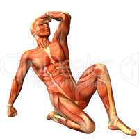 Muskelaufbau Mann in sitzender Pose