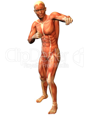 Muskelaufbau Mann in stehender Kämpfer Pose