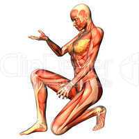 Muskelaufbau Frau in Pose