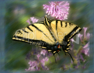 Swallowtail Butterfly Painting