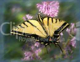 Swallowtail Butterfly Painting