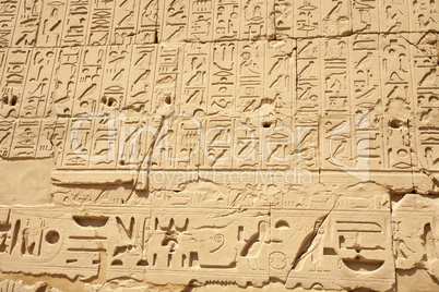 Egyptian hieroglyphs