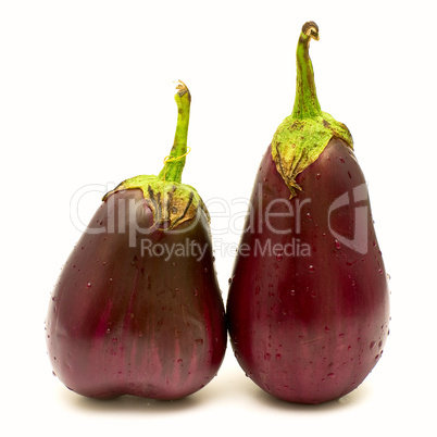 Purple eggplants