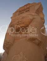 column in Hatshepsut Temple, Egypt, Luxor